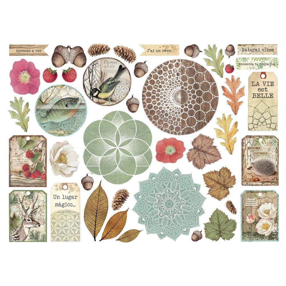 Die cuts Forest Stamperia