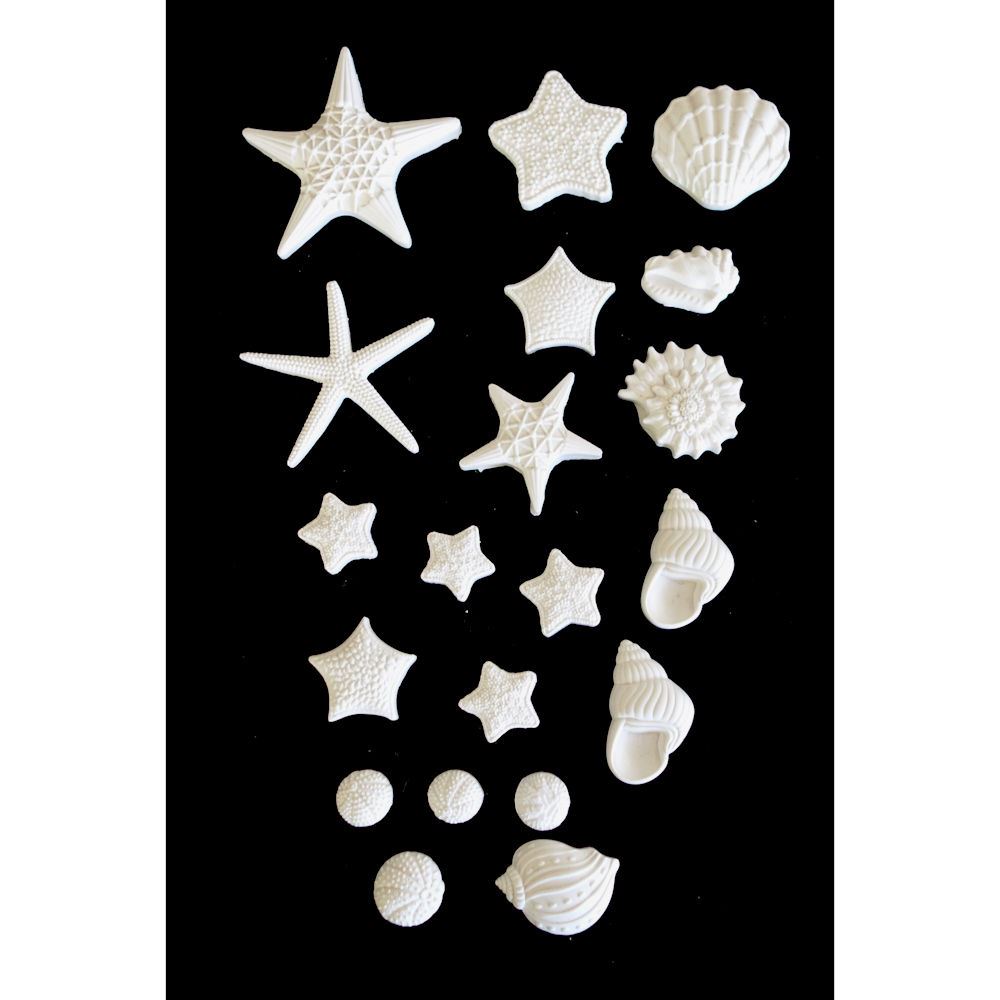 Kit gessetti Stelle Marine e Conchiglie