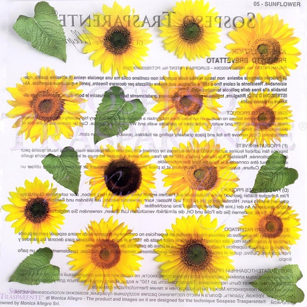 Pellicola Adesiva Kristalstick Sunflower