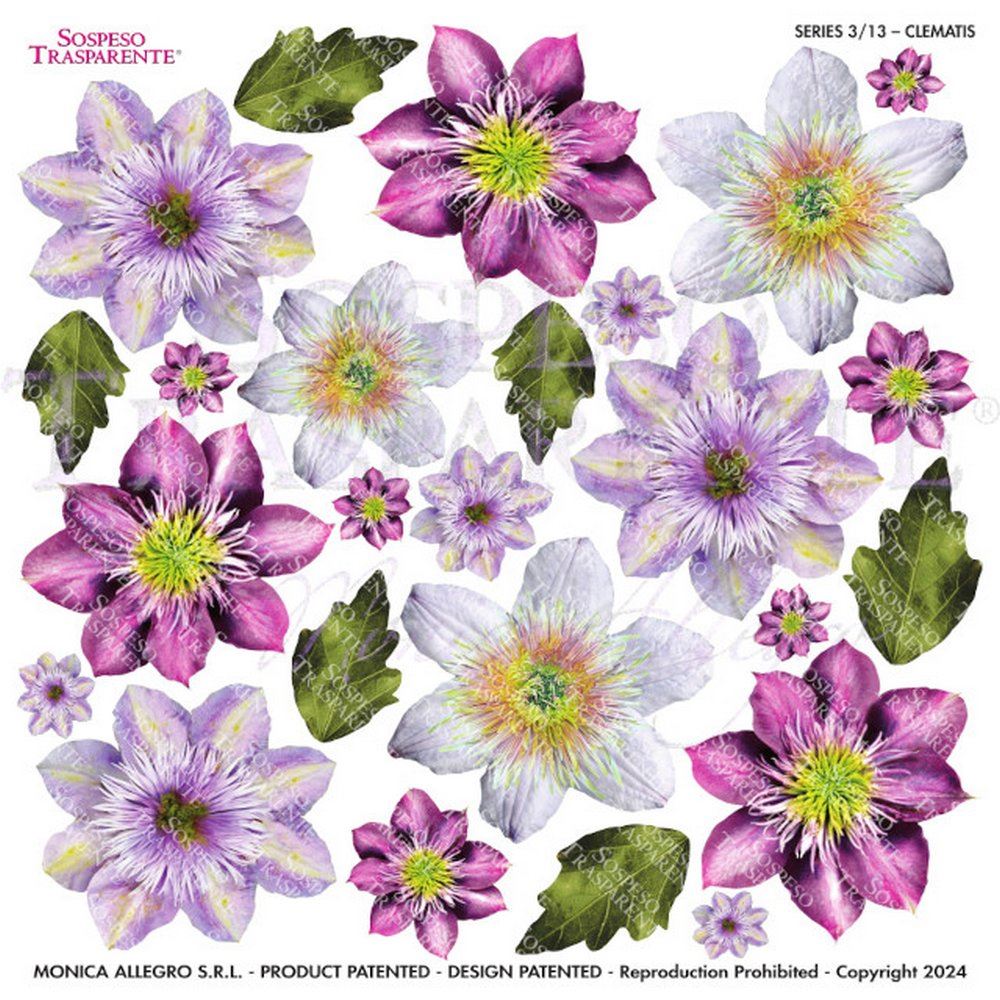 Pellicola Modellabile Clematis Serie 3