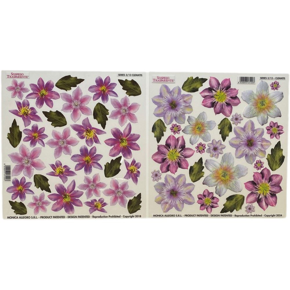 Pellicola Modellabile Clematis Serie 3 Doppia