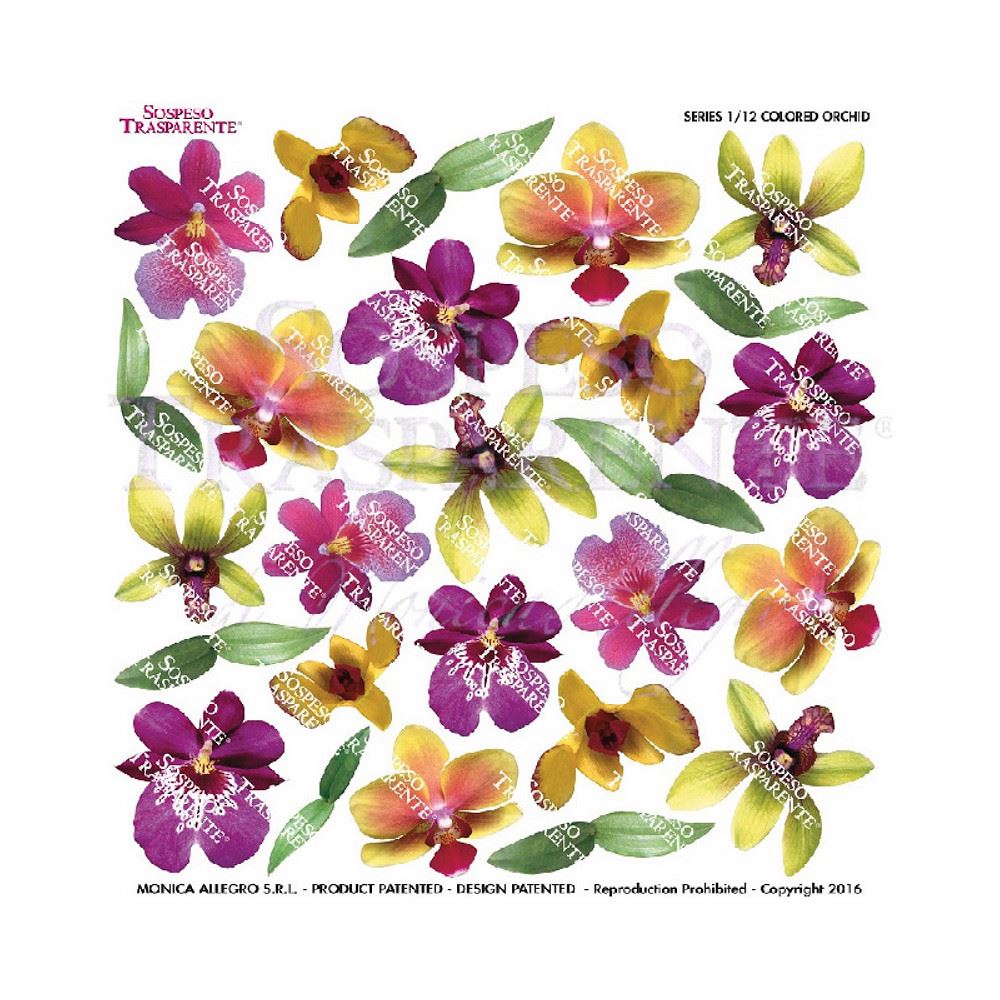 Pellicola Modellabile Colored Orchid Serie 1