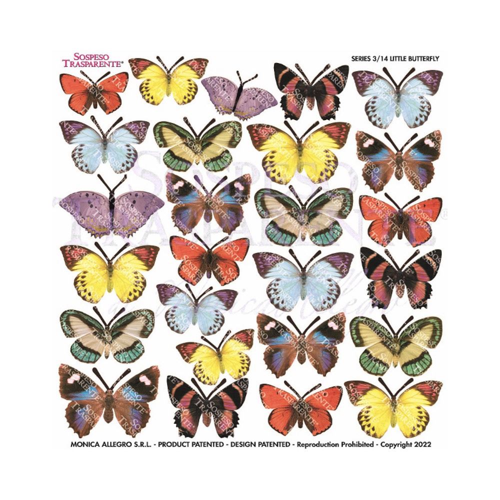 Pellicola Modellabile Little Butterfly Serie 3