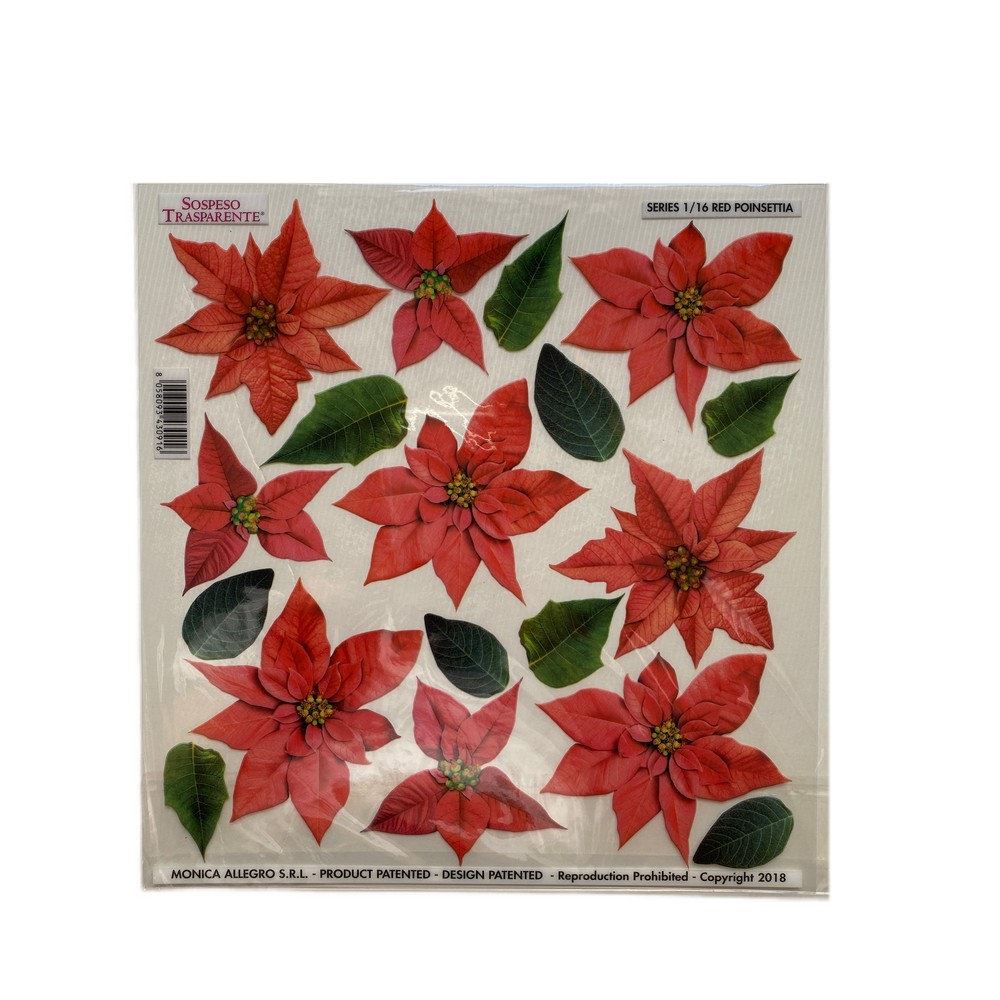 Pellicola Modellabile Poinsettia Serie 1 