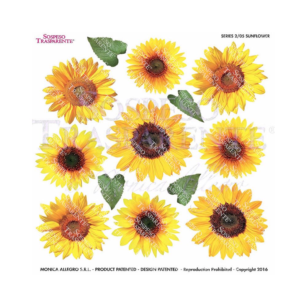 Pellicola Modellabile Sunflower Serie 2