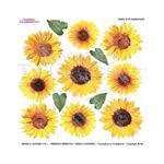 Pellicola Modellabile Sunflower Serie 2