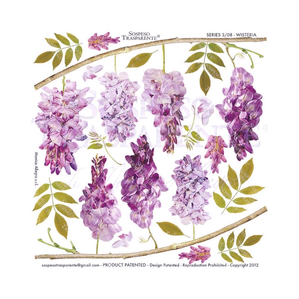 Pellicola Modellabile Wisteria Serie 3