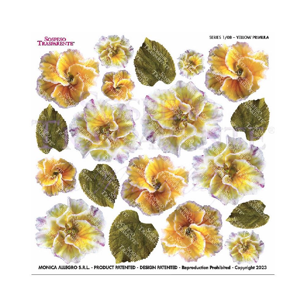 Pellicola Modellabile Yellow Primula Serie 1