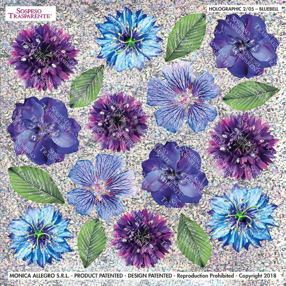 Pellicola Olografica Modellabile Bluebell