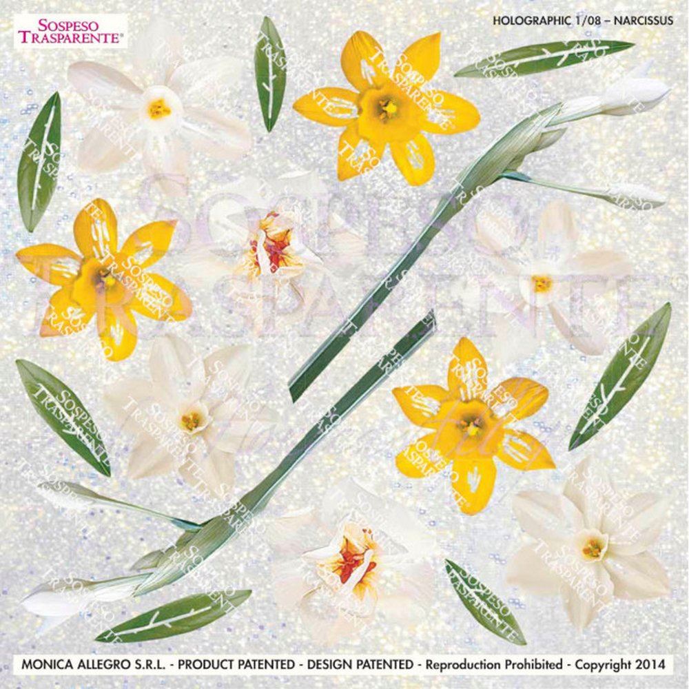 Pellicola Olografica Modellabile Narcissus