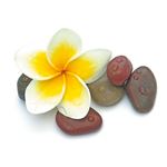 Profumo per Candele Frangipani