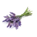 Profumo per Sapone Lavanda